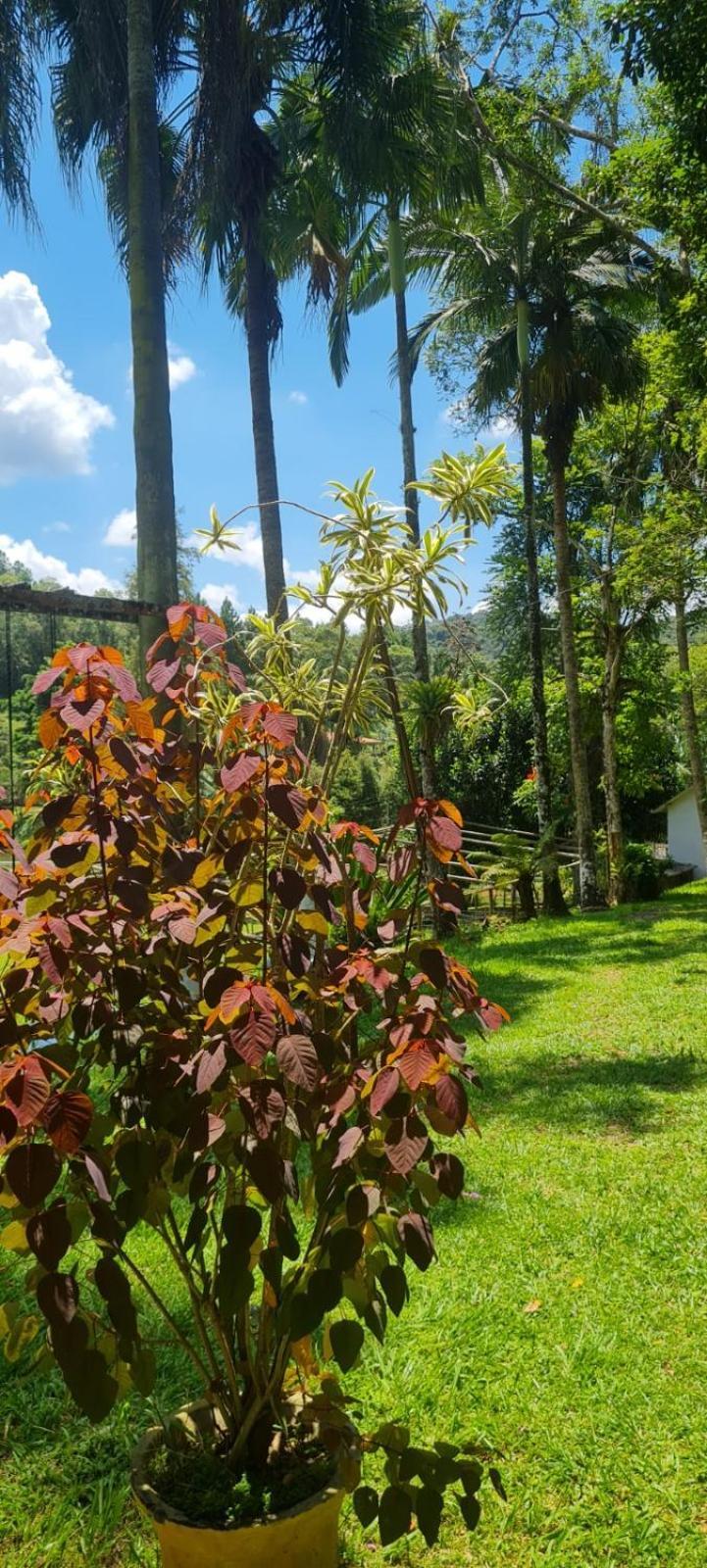 Sitio Saramandaia Villa Juquitiba Exterior photo